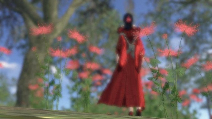 明知***是死路一条，甚至连小命都要赔进去，台湾领导人为什么还要坚持搞***？